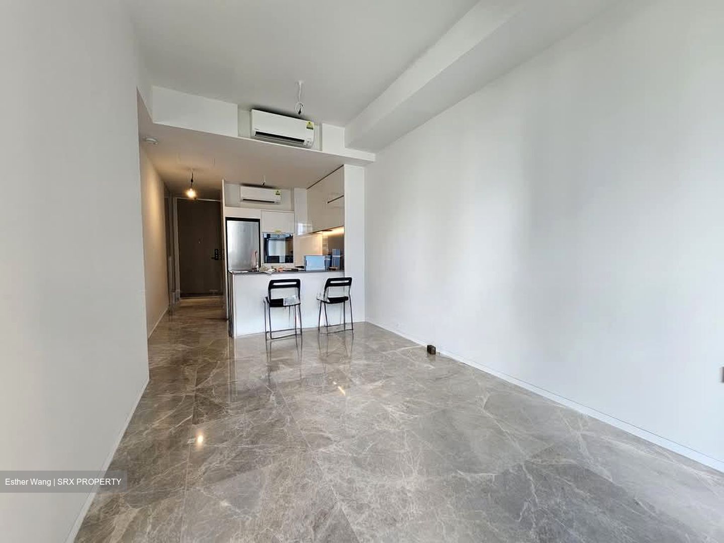 Amber Park (D15), Condominium #563667671